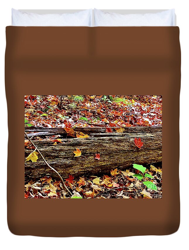 #autumn Duvet Cover featuring the photograph Autumn Leaves by Cornelia DeDona