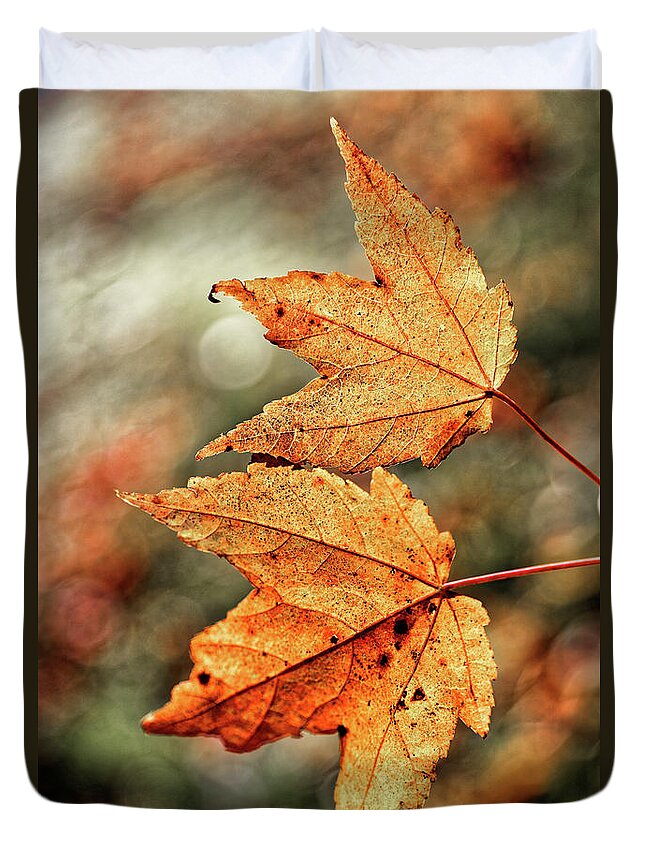 Autumn Leaves Duo Duvet Cover featuring the photograph Autumn Leaves Duo by Doolittle Photography and Art