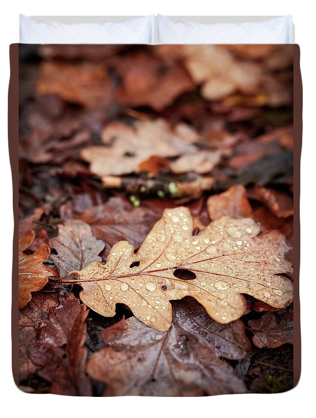 Forest Duvet Cover featuring the photograph Autumn Leaves by Gavin Lewis