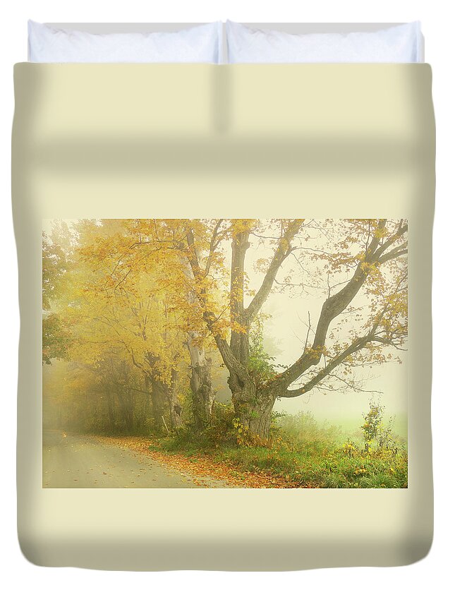 Trees Duvet Cover featuring the photograph Autumn Mist Embraces Old Maple Row by Nancy Griswold