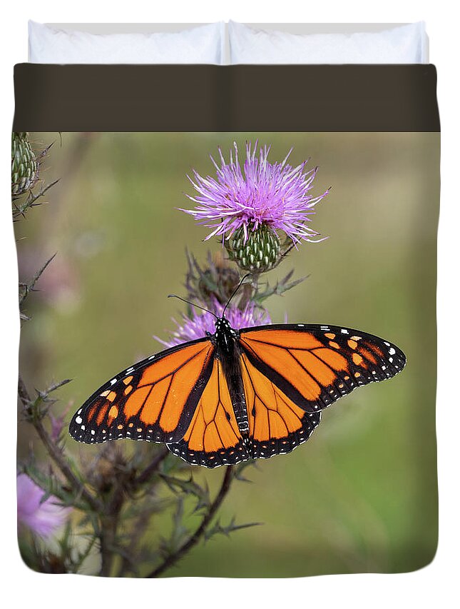 Big Meadows Duvet Cover featuring the photograph Autumn Monarch 2020 by Lara Ellis