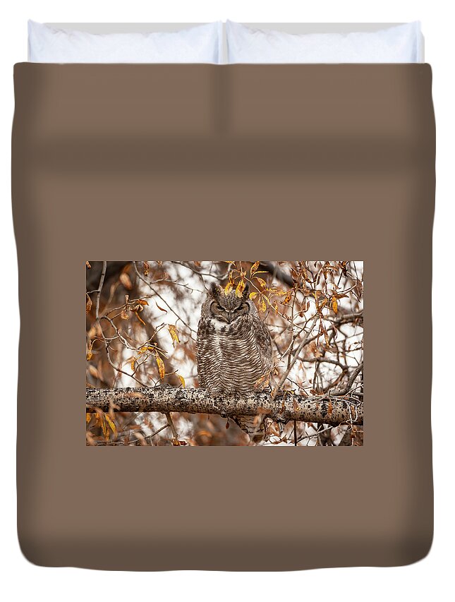 Great-horned Owl Duvet Cover featuring the photograph Autumn owl by D Robert Franz