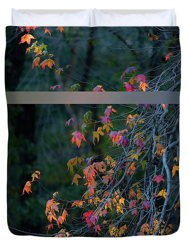 Liquidambar Duvet Cover featuring the photograph Autumn tree by Karen Rispin