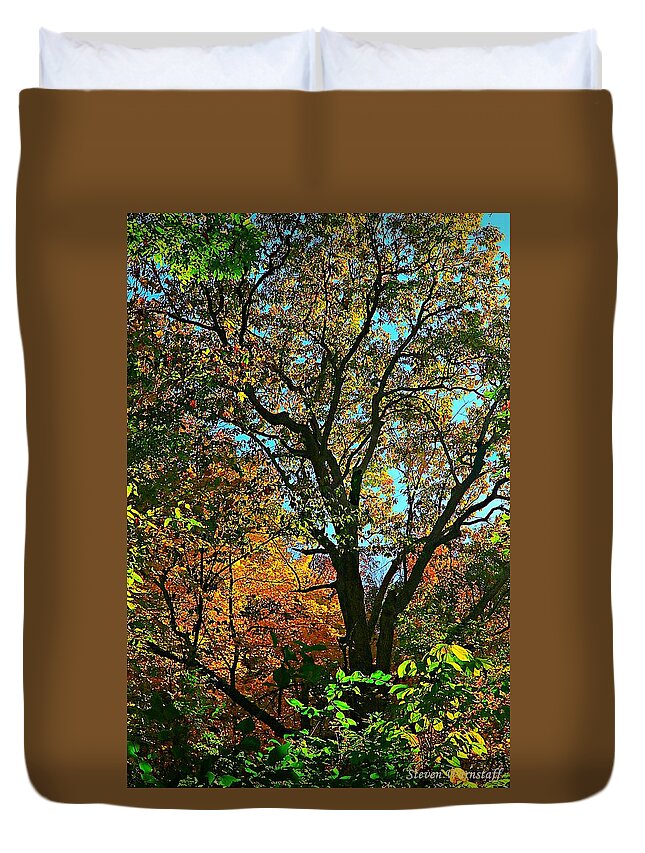 Forest Duvet Cover featuring the photograph Autumnal Bliss by Steve Warnstaff