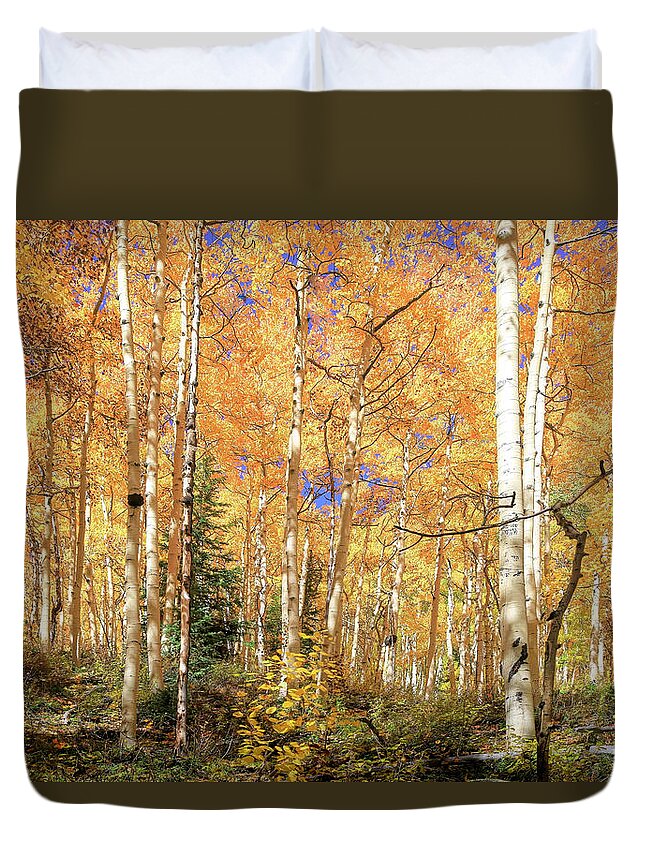 Ouray Duvet Cover featuring the photograph Autumns Second Spring by Donna Kennedy