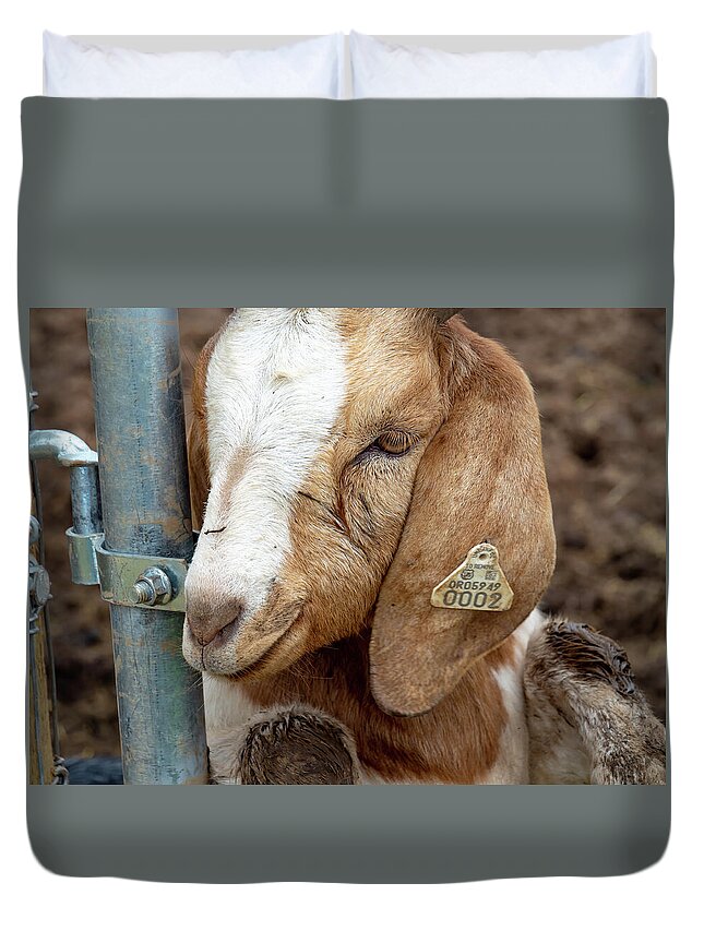 Goat Duvet Cover featuring the photograph Awwww by Leslie Struxness