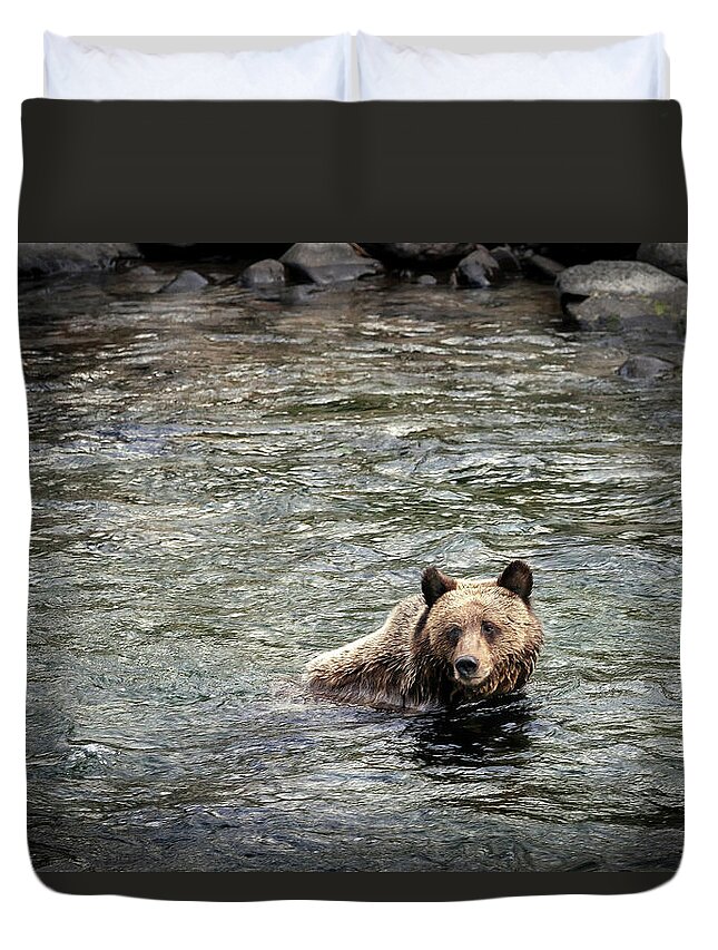 Bear Duvet Cover featuring the photograph Baby Bear by Craig J Satterlee