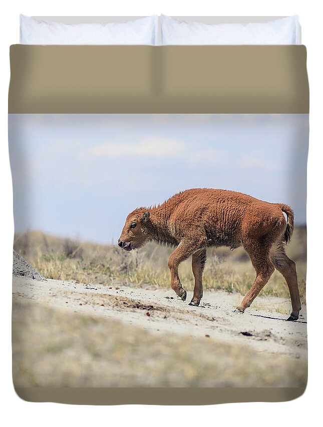 Newborn Bison Duvet Cover featuring the photograph Baby Bison Journey by Dan Sproul