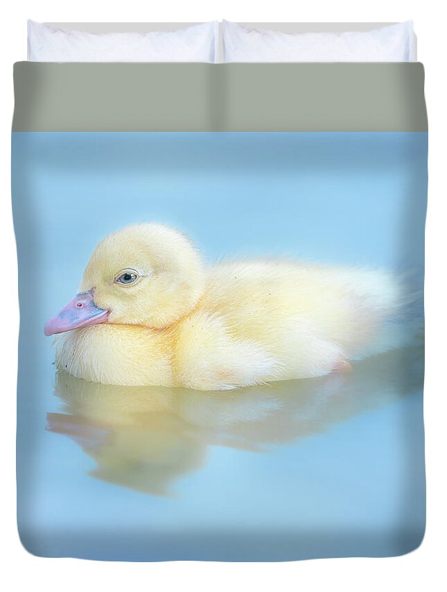 Yellow Duckling Duvet Cover featuring the photograph Baby Duckling by Jordan Hill