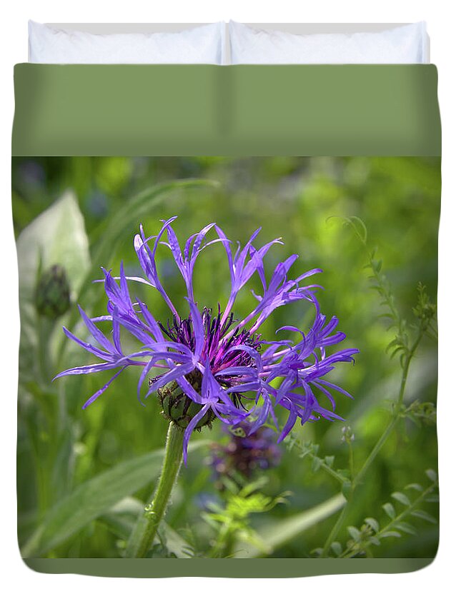 Flower Duvet Cover featuring the photograph Bachelor's Button by Loyd Towe Photography