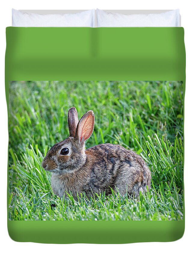 Rabbit Duvet Cover featuring the photograph Backyard Bunny by David Beechum