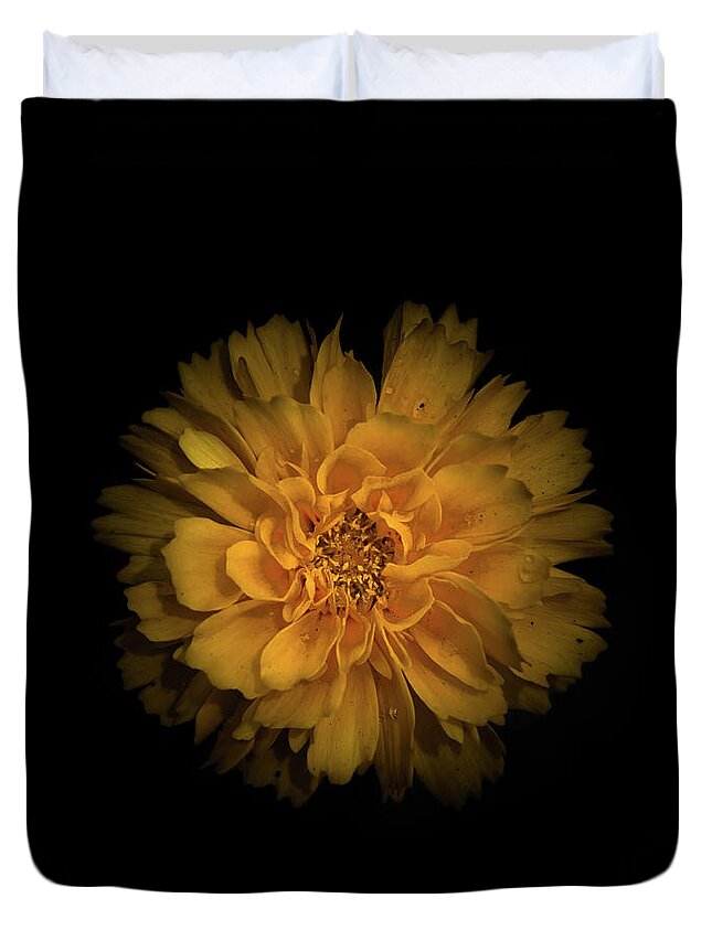 Brian Carson Duvet Cover featuring the photograph Backyard Flowers 79 Color Version by Brian Carson