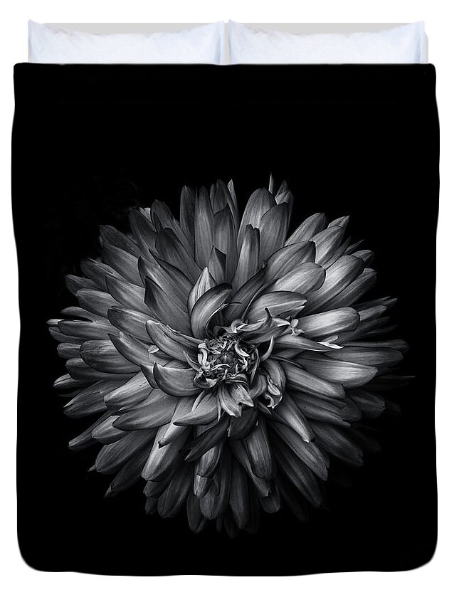 Brian Carson Duvet Cover featuring the photograph Backyard Flowers In Black And White 20 by Brian Carson