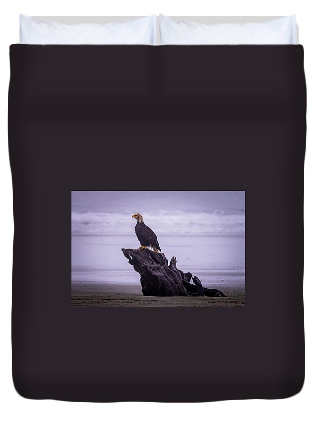 Bald Eagle Duvet Cover featuring the photograph Bad Hair Day by Stephen Sloan