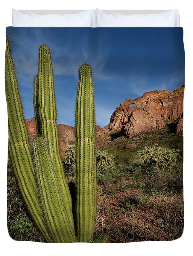 Ajo Mountain Drive Duvet Cover featuring the photograph Bagpipe Organ Pipe by James Covello