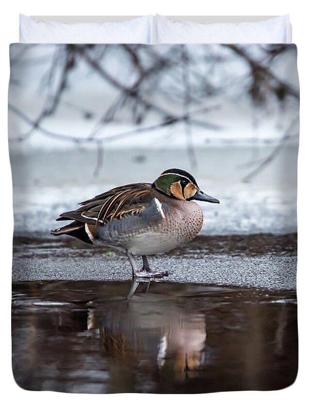 Baikal Teal Duvet Cover featuring the photograph Baikal Teal a rare visitor in Sweden by Torbjorn Swenelius
