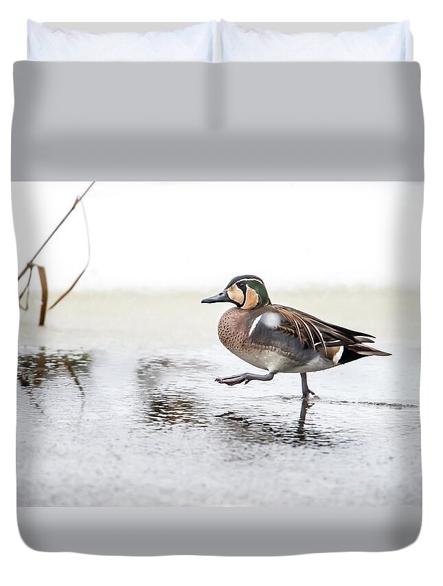 Baikal Teal Duvet Cover featuring the photograph Baikal Teal, the beautiful and rare visitor in Sweden, walks wit by Torbjorn Swenelius