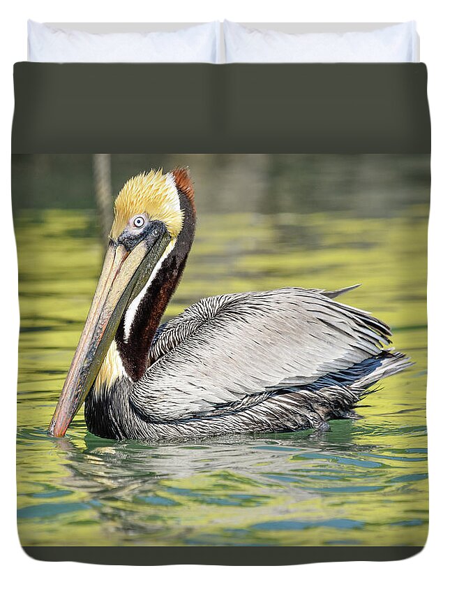 Brown Pelican Duvet Cover featuring the photograph Bait Stand Reflections by Christopher Rice