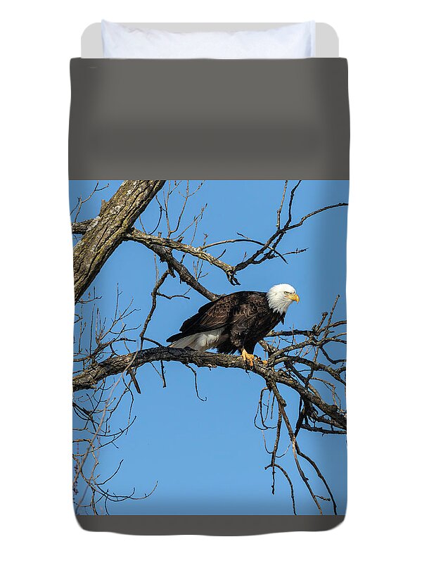 American Bald Eagle Duvet Cover featuring the photograph Bald Eagle 2019-21 by Thomas Young