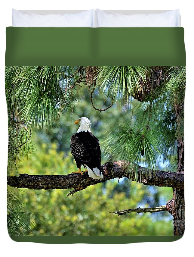 Bald Eagle Duvet Cover featuring the photograph Bald Eagle American Symbol by Julie Adair