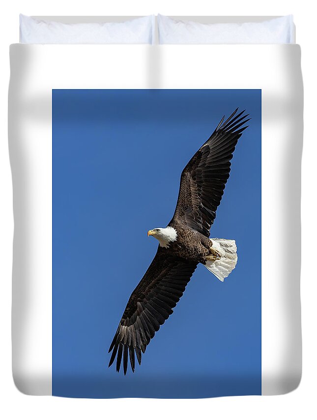 Bald Eagle Duvet Cover featuring the photograph Bald Eagle Flyby Portrait by Tony Hake