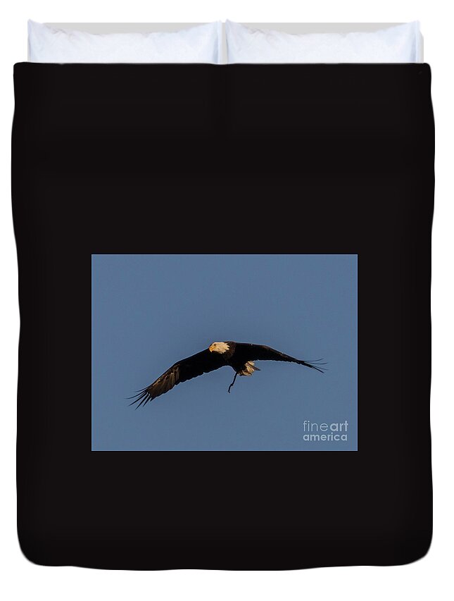 Bald Eagle Duvet Cover featuring the photograph Bald Eagle Soaring by Steven Krull