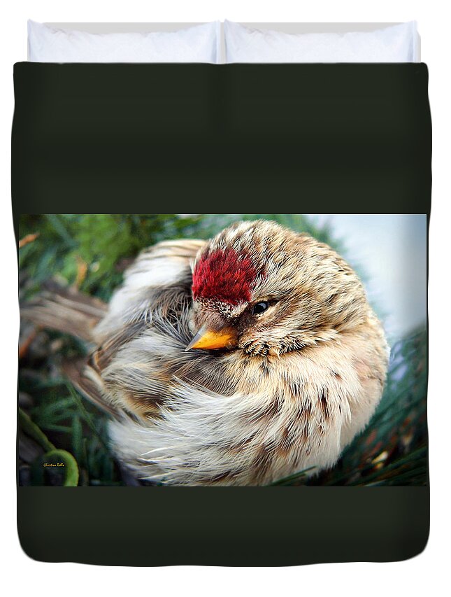 Bird Duvet Cover featuring the photograph Ball of Feathers by Christina Rollo