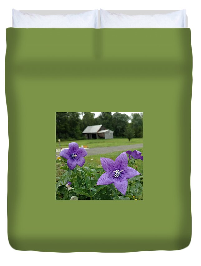 Balloon Flower Duvet Cover featuring the photograph Balloon Flowers and Barn by Vicki Noble