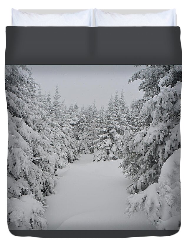 Balsam Furs Covered In Snow Duvet Cover featuring the photograph Balsam Furs Covered in Snow by Raymond Salani III