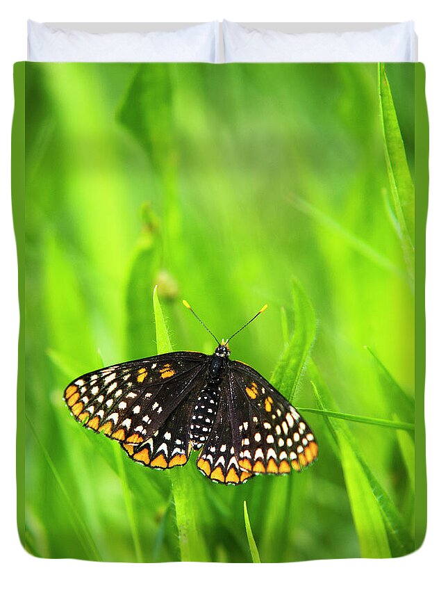Baltimore Checkerspot Butterfly Duvet Cover featuring the photograph Baltimore Checkerspot Butterfly by Christina Rollo