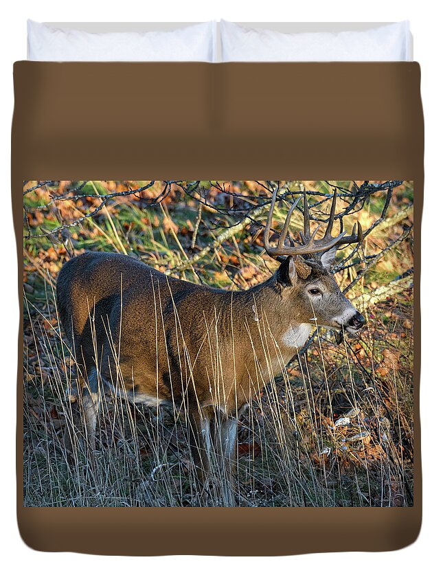 White Tailed Deer Duvet Cover featuring the photograph Bambie's Father by Lara Ellis