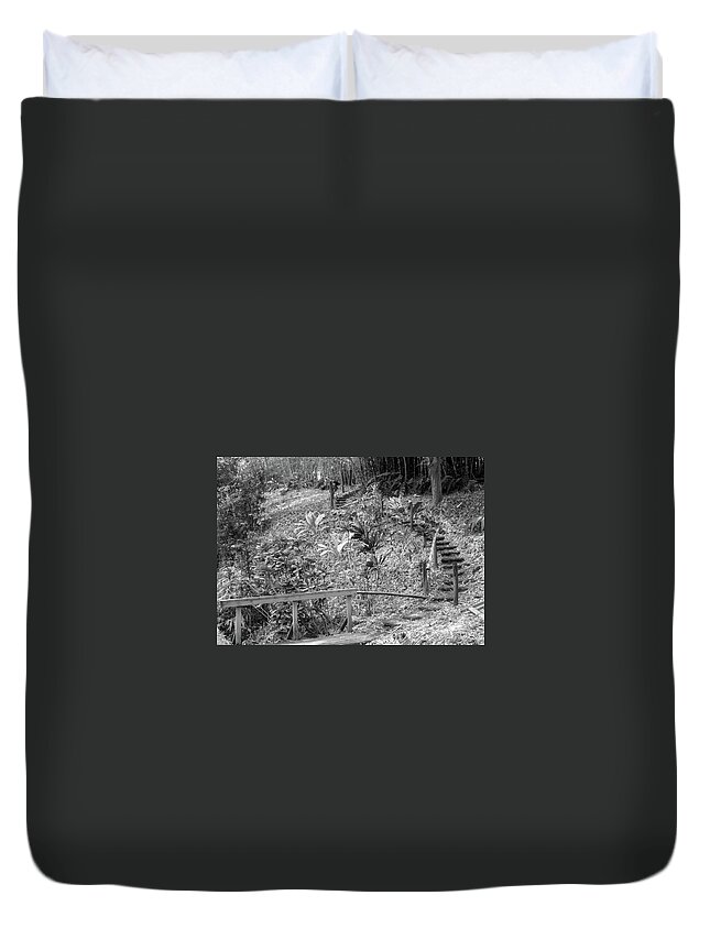 Tropics Duvet Cover featuring the photograph Bamboo Stairway by Tony Spencer