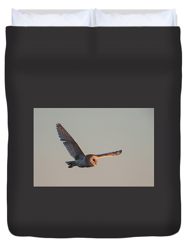 Barn Duvet Cover featuring the photograph Barn Owl Hunting In Winter by Pete Walkden