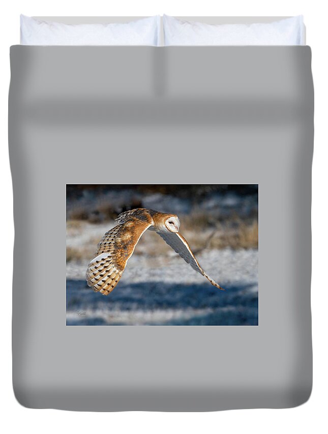 Barn Owls Duvet Cover featuring the photograph Barn Owl in Flight by Judi Dressler
