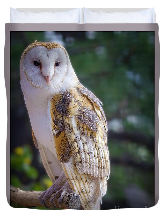 Barn Owl Duvet Cover featuring the photograph Barn Owl Portrait by Shirley Dutchkowski