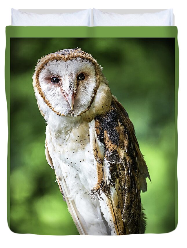 Raptors Owl Barn Owl Duvet Cover featuring the photograph Barn owl by Robert Miller