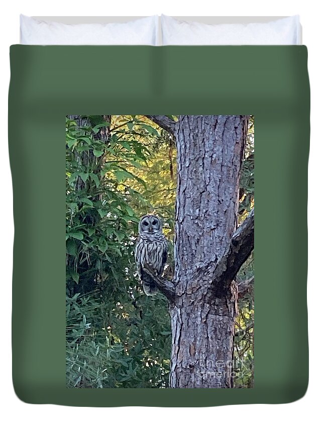 Owl Duvet Cover featuring the photograph Barred Owl by Barbara Von Pagel