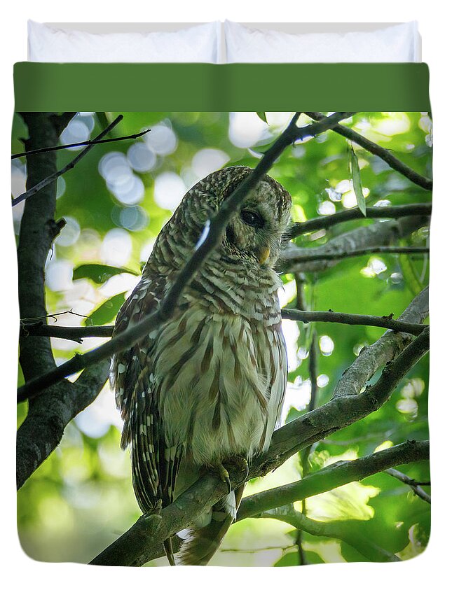 Barred Duvet Cover featuring the photograph Barred Owl by David Beechum