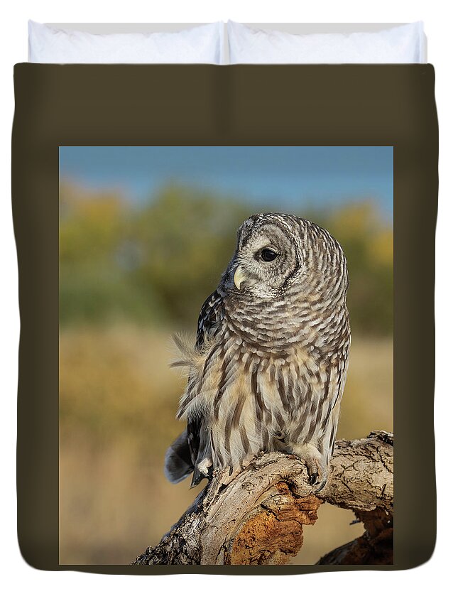 Barred Owl Duvet Cover featuring the photograph Barred Owl by Dawn Key