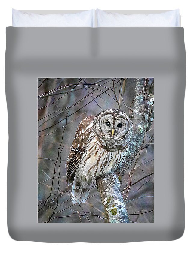 Barred Owl Duvet Cover featuring the photograph Barred Owl in the Woods by Jaki Miller