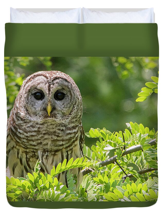 Barred Owl Duvet Cover featuring the photograph Barred Owl by Linda Shannon Morgan