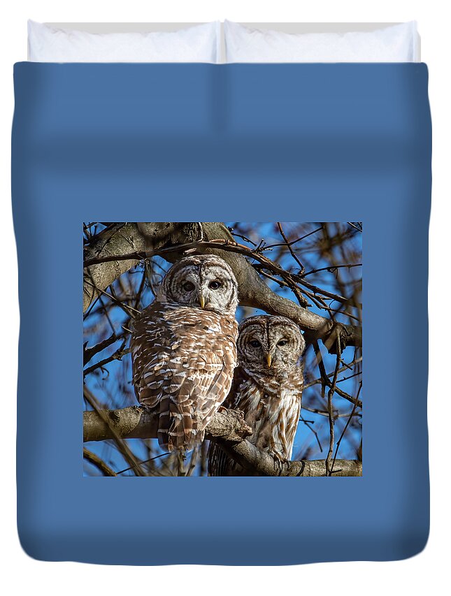 Animal Duvet Cover featuring the photograph Barred Owl Pair by Brian Shoemaker