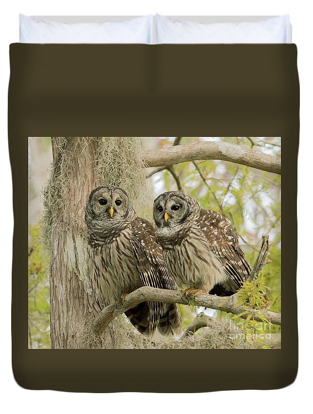 Ron Bielefeld Duvet Cover featuring the photograph Barred Owl Pair by Ron Bielefeld