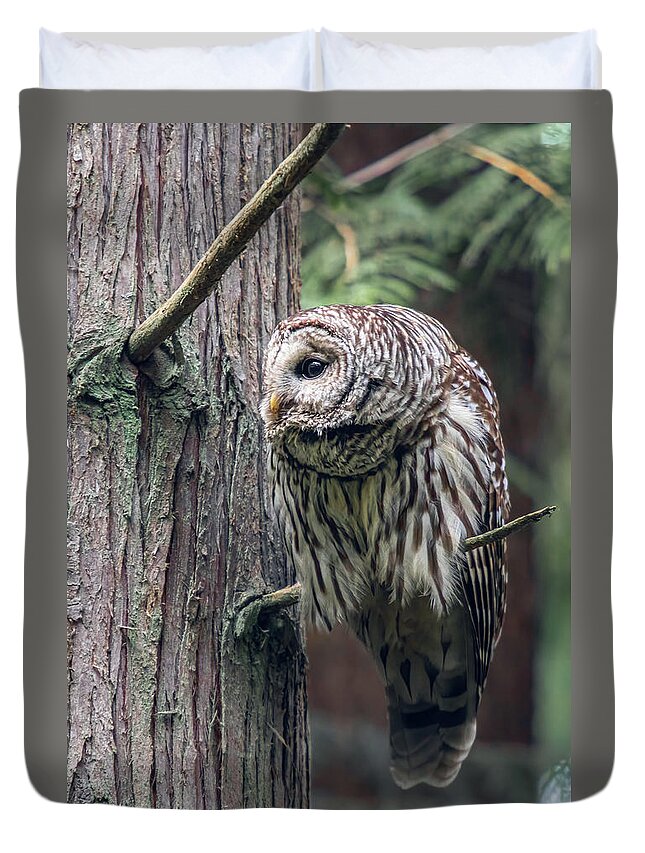 Barred Owl Duvet Cover featuring the photograph Barred Owl Profile by Michael Rauwolf