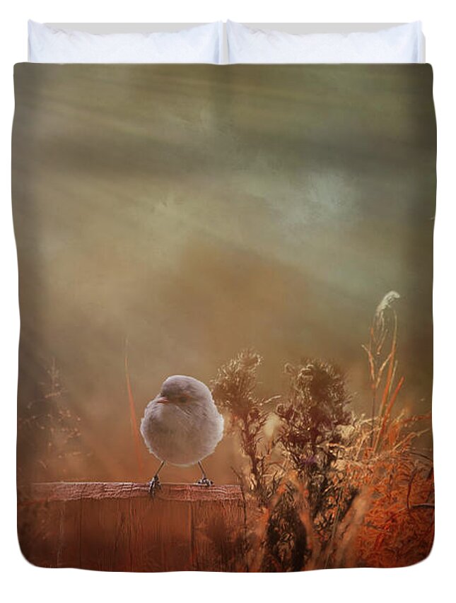 Wren Duvet Cover featuring the photograph Bathed in Light by Elaine Teague