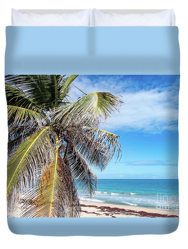 Condado Duvet Cover featuring the photograph Beachy Palm Branches, Condado Beach, San Juan, Puerto Rico by Beachtown Views