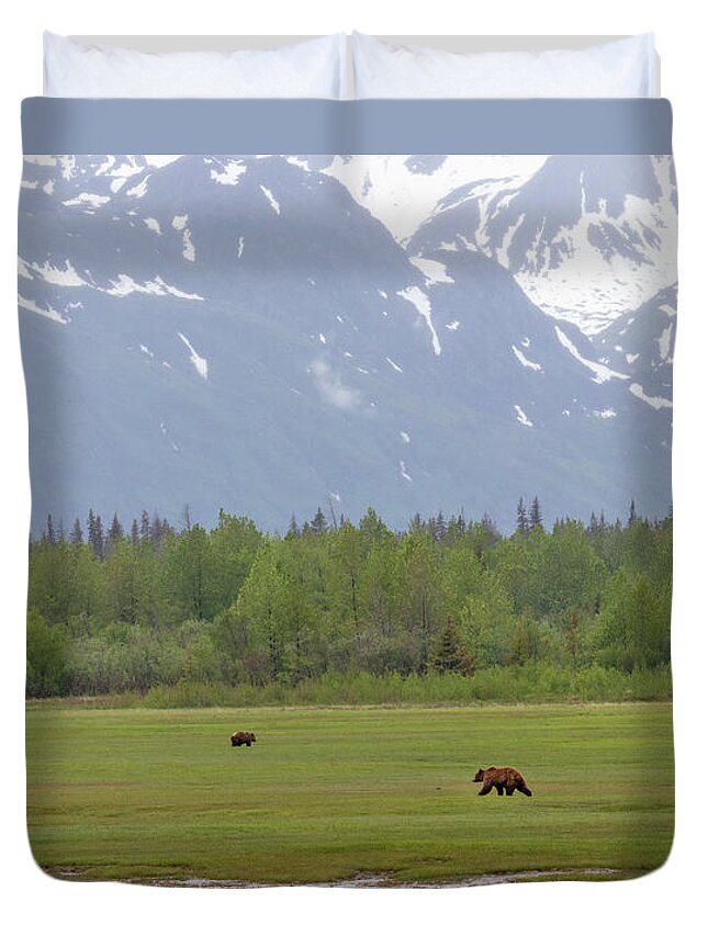 (ursus Arctos) Duvet Cover featuring the photograph Bear Meadow by James Capo