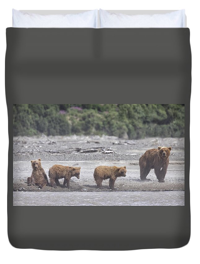 Alaska Duvet Cover featuring the photograph Bears in a Sandstorm by Cheryl Strahl