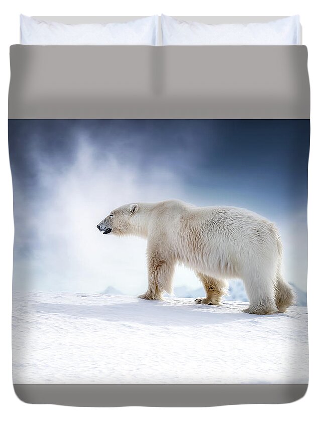 Wildlife Duvet Cover featuring the photograph Beautiful adult male polar bear, ursus maritimus, walking across the snow of Svalbard by Jane Rix