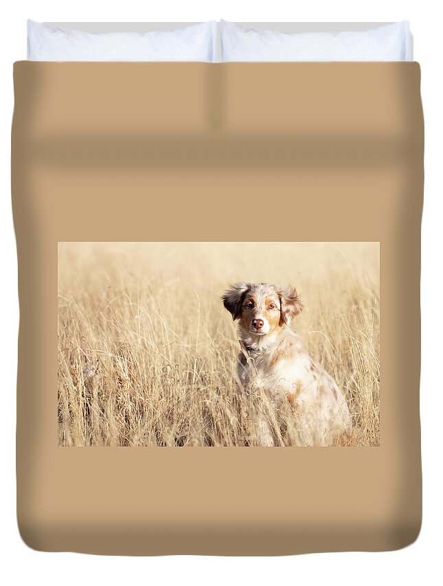 Australian Shepherd Duvet Cover featuring the photograph Beautiful Amy by Marlo Horne